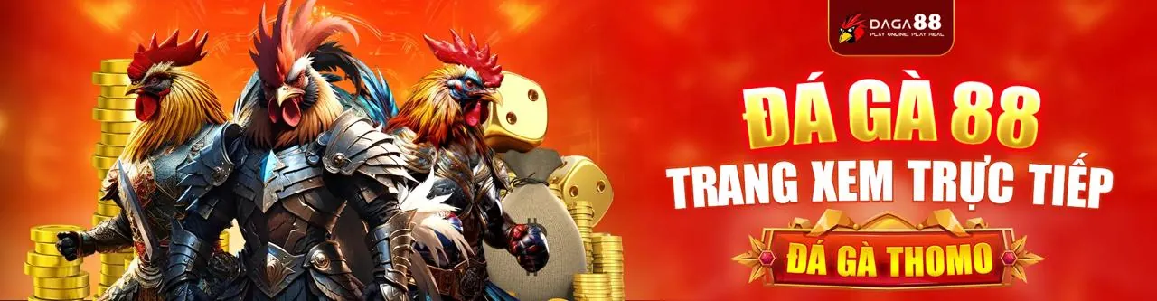 Đá Gà Trực Tuyến Hấp Dẫn tại siu88 link vào